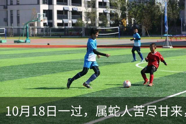 10月18日一过，属蛇人苦尽甘来，两大喜事进门